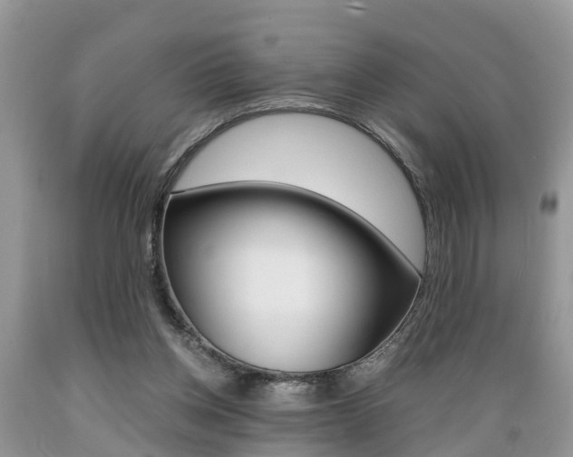 X0000089670158200706210800