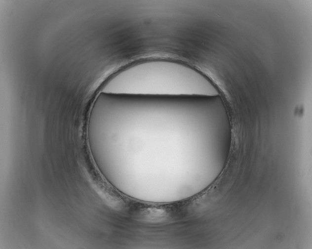 X0000089670159200706210801