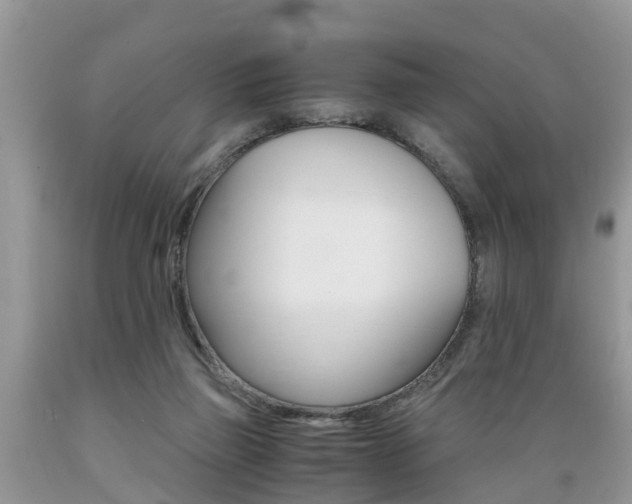 X0000089670165200706210801