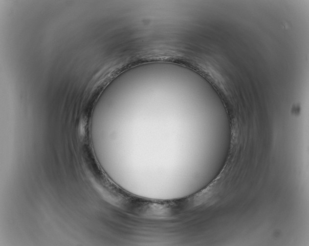 X0000089670166200706210801