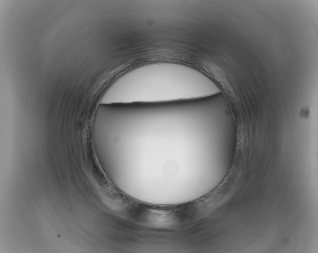 X0000089670167200706210801