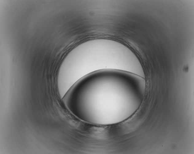 X0000089670170200706210801