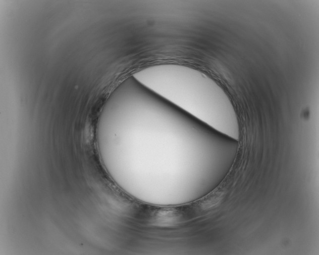 X0000089670173200706210801