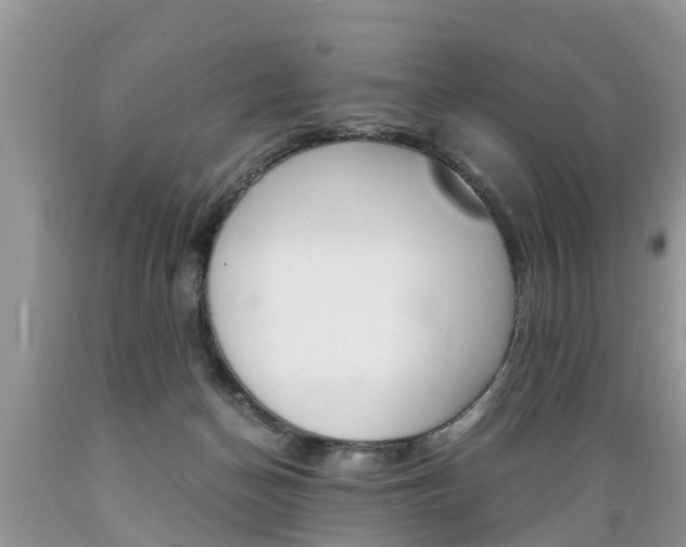 X0000089670174200706210801