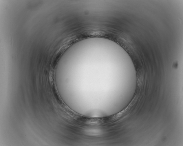 X0000089670175200706210801