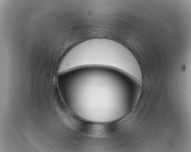 X0000089670176200706210801