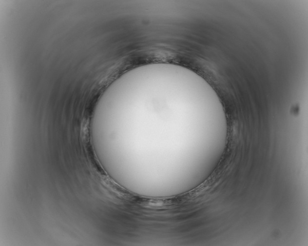 X0000089670177200706210801