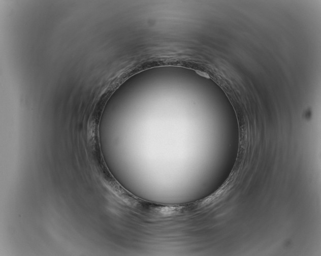 X0000089670184200706210801