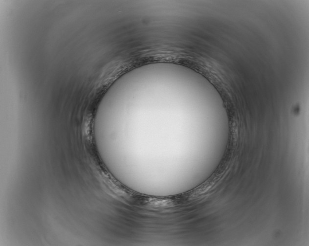 X0000089670185200706210801