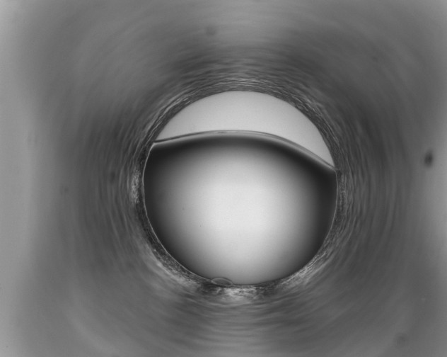 X0000089670188200706210801