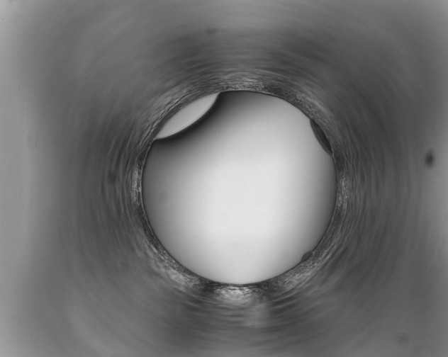 X0000089670189200706210801