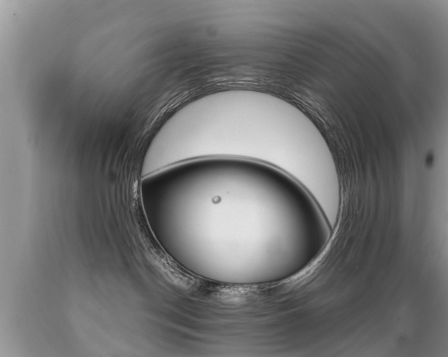 X0000089670190200706210801