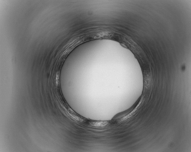 X0000089670191200706210801