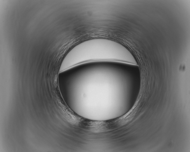 X0000089670192200706210801