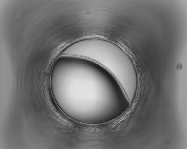 X0000089670193200706210800