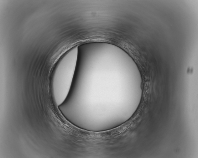 X0000089670194200706210800