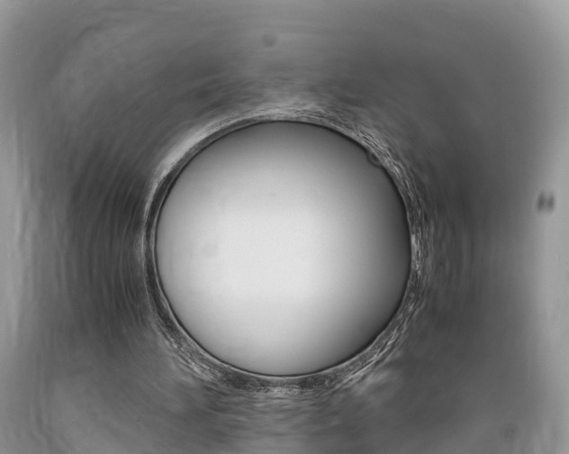 X0000089670196200706210800