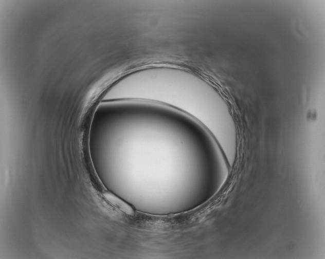 X0000089670197200706210800