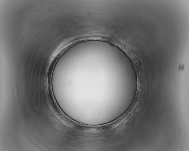 X0000089670198200706210800