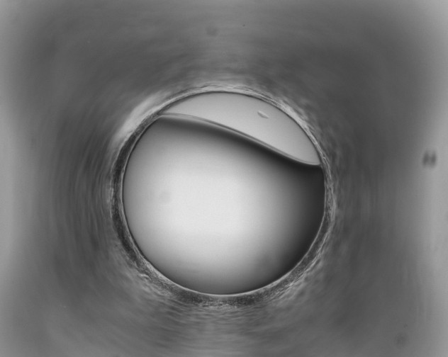 X0000089670199200706210800