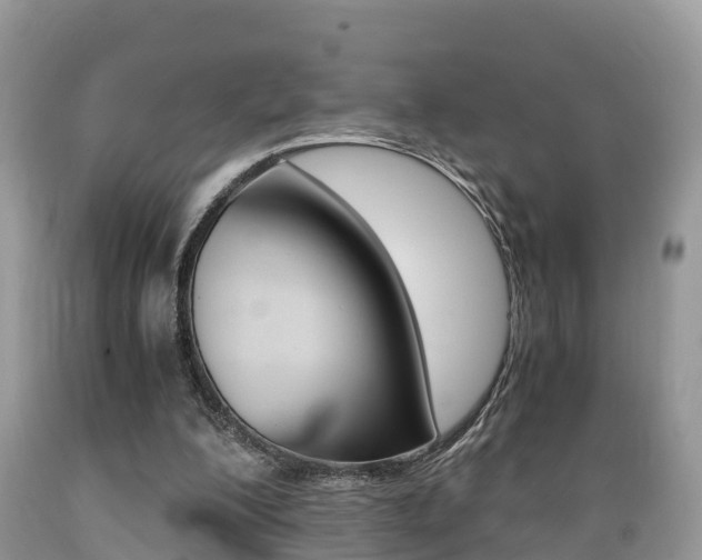 X0000089670200200706210800