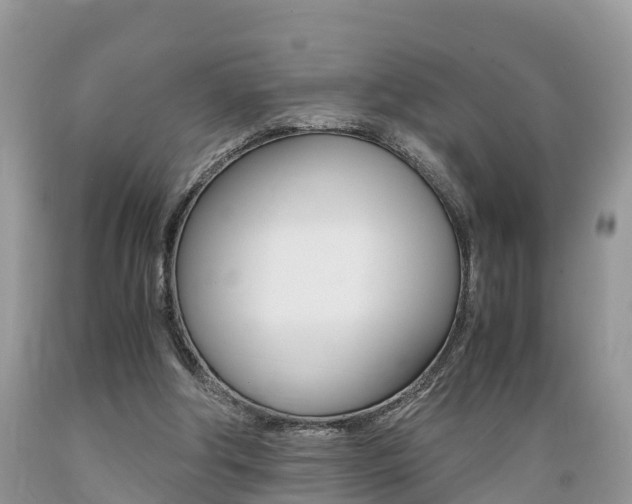 X0000089670202200706210800