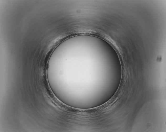 X0000089670203200706210800