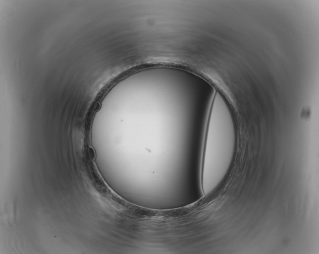 X0000089670204200706210800