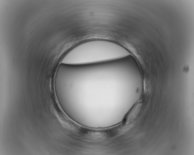 X0000089670205200706210800
