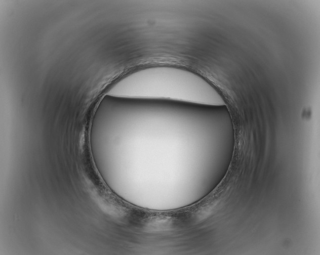X0000089670206200706210800