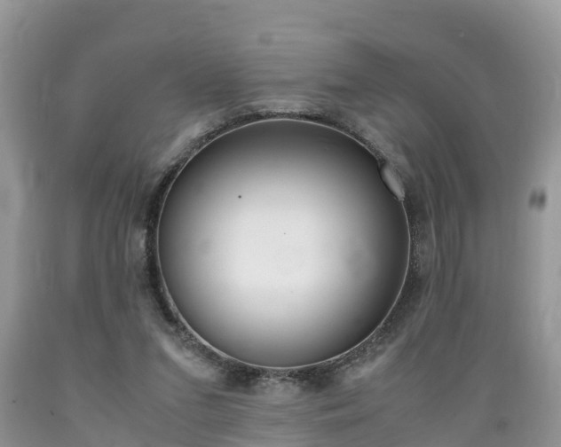 X0000089670207200706210800