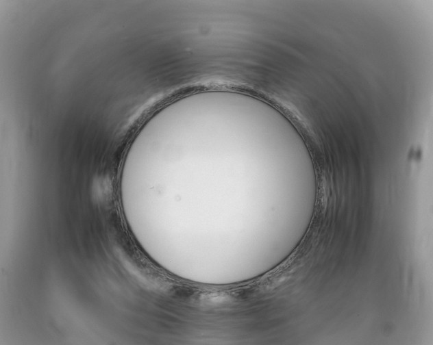 X0000089670208200706210800