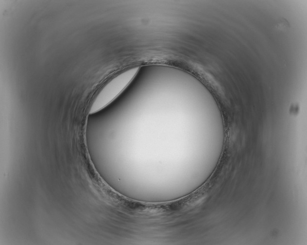 X0000089670209200706210800