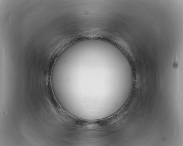 X0000089670210200706210800