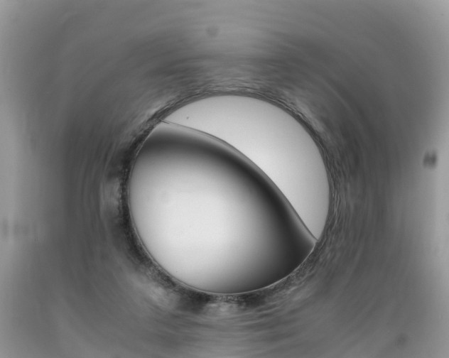 X0000089670211200706210800
