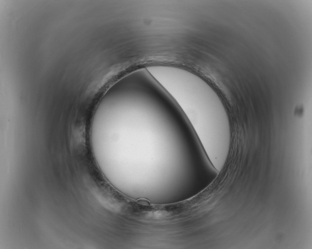 X0000089670212200706210800