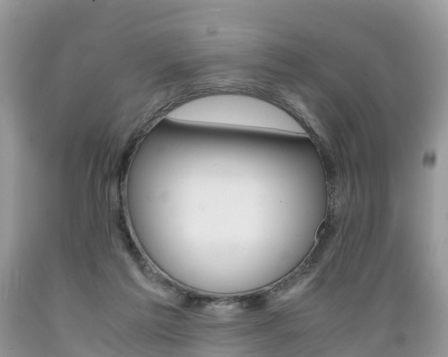X0000089670213200706210800