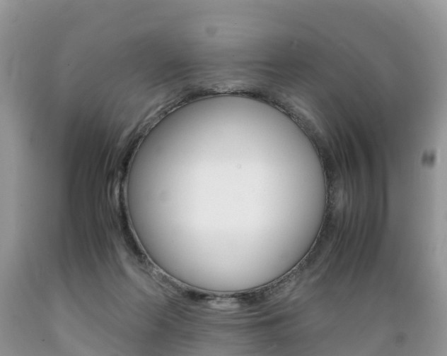 X0000089670214200706210800