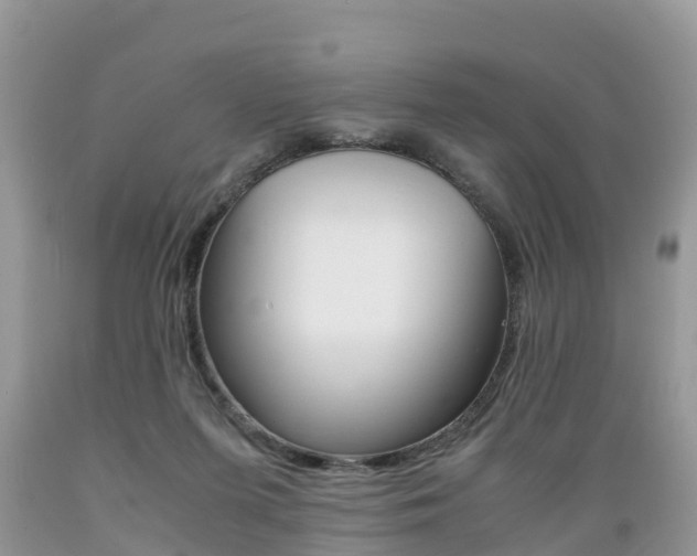 X0000089670215200706210800