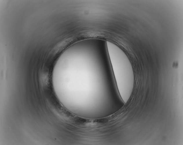 X0000089670216200706210800