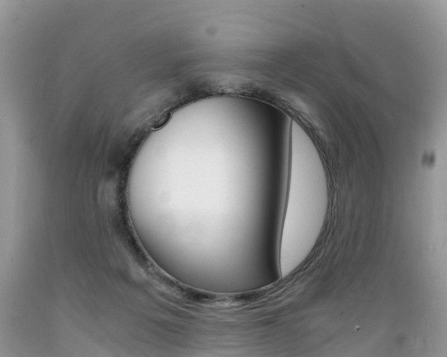 X0000089670217200706210800