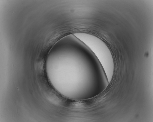 X0000089670219200706210800
