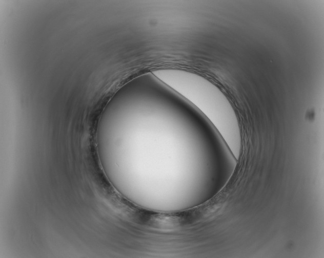 X0000089670221200706210800