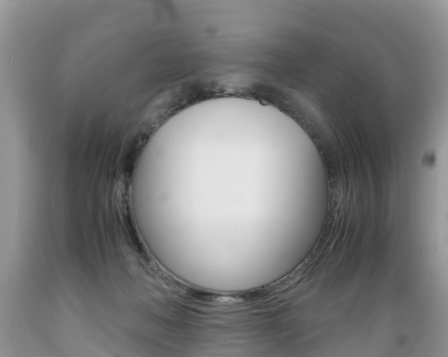 X0000089670222200706210800
