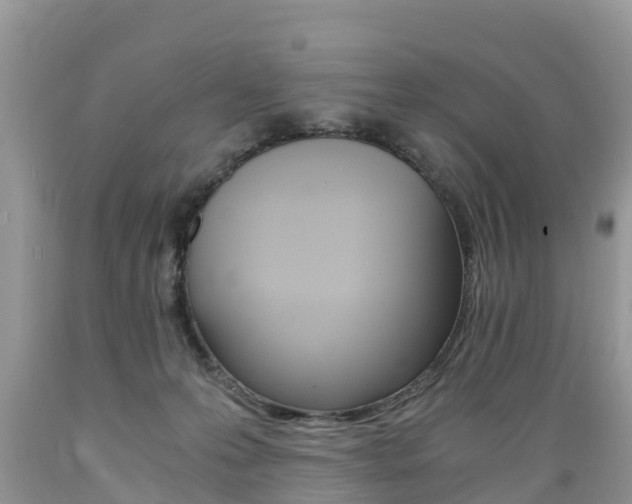 X0000089670223200706210800