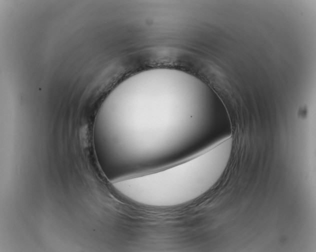 X0000089670224200706210800