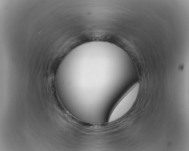 X0000089670225200706210800