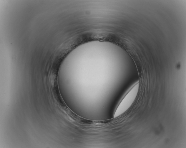 X0000089670227200706210800