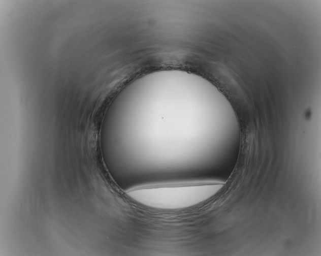 X0000089670228200706210800