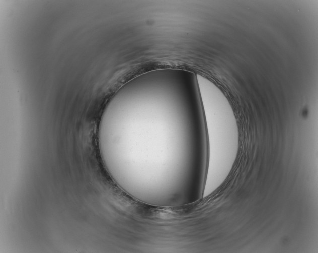 X0000089670229200706210800